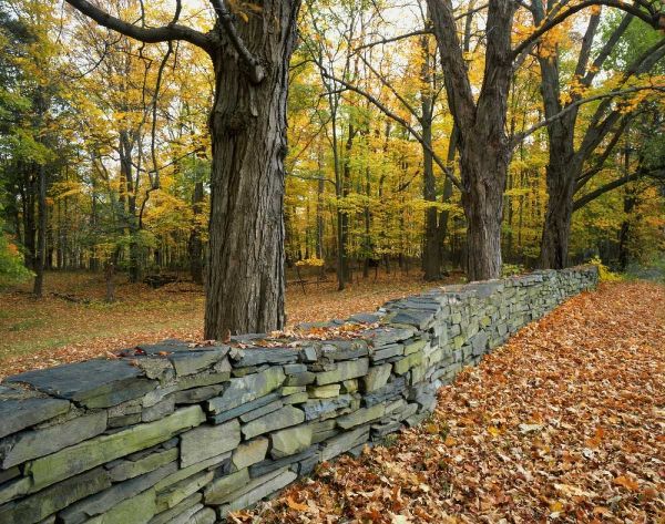 New York, Greene County Hand-built stone fence